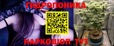 каннабис Новозыбков